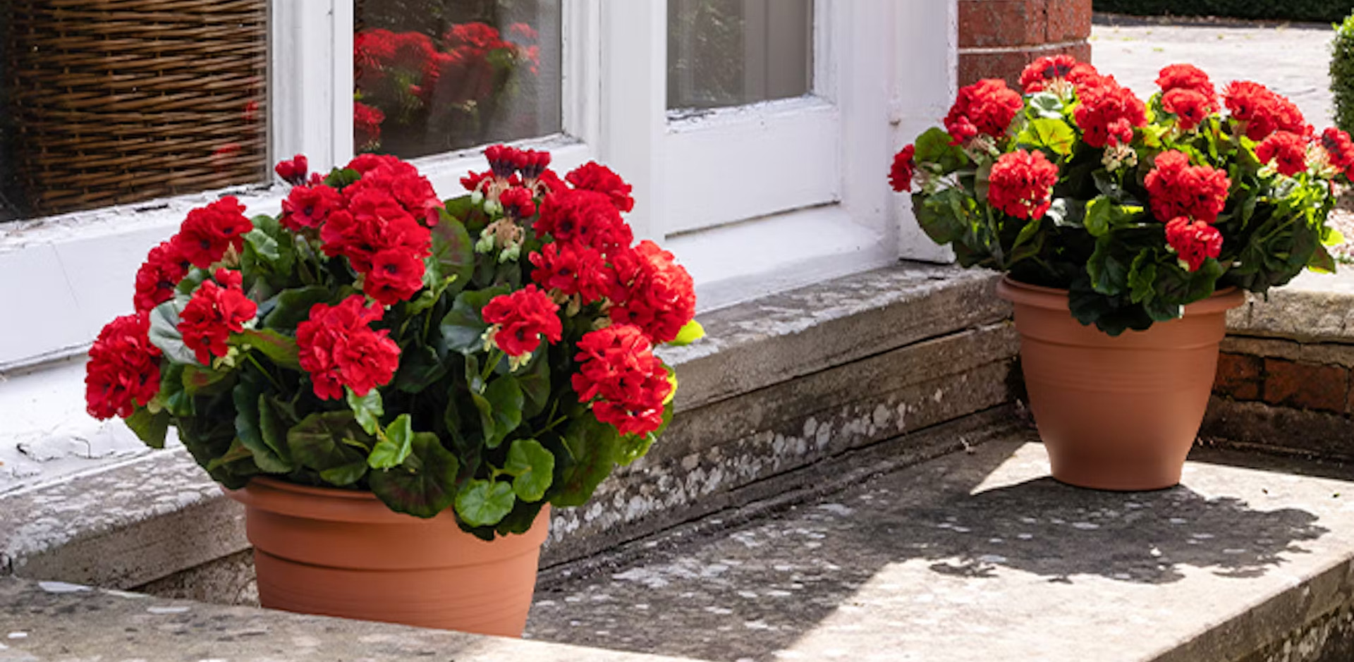 Home Decoration Onsale -Home Decoration Onsale 1