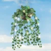 Collections Etc Artificial Ivy Hanging Plant With LED Lights 8 X 8 X 27.5 Green 1 Collections Etc Artificial Ivy Hanging Plant With LED Lights 8 X 8 X 27.5 Green -Home Decoration Onsale GUEST 01a12fb8 ad61 4158 8f2e 53f4ad6ad7b0