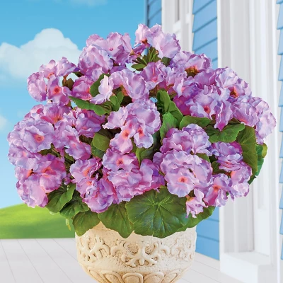 Collections Etc Set Of 3 Begonia Bushes 3 Collections Etc Set Of 3 Begonia Bushes