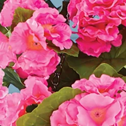 Collections Etc Begonia Hanging Bush -Home Decoration Onsale GUEST 25433daa 423c 4c7e a093 5101b8ef2f86