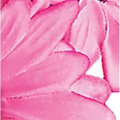 Collections Etc Black Eyed Susan Bushes Set 3 9 Collections Etc Black Eyed Susan Bushes Set 3 -Home Decoration Onsale GUEST 2952fa93 8b06 42f0 8941 544967c3d3c3