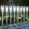 Collections Etc Solar Light Pathway Stakes - Set Of 8 Multi Color Lights -Home Decoration Onsale GUEST 3276a53e f4fb 4941 86dd 5e340cd4000d