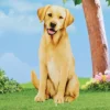 Collections Etc Realistic Metal Yellow Lab Dog Garden Stake -Home Decoration Onsale GUEST 41adefb4 9b9d 4400 9fdc 985994f4170d