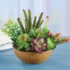 Collections Etc Faux Succulent Plants Arrangement In Pot -Home Decoration Onsale GUEST 70df04a8 abae 4f82 b964 4ca9ad244c97