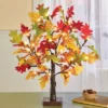 Collections Etc LED Lighted Artificial Tabletop Autumn Maple Tree 4 X 4 X 22 -Home Decoration Onsale GUEST 96ae18f0 c84a 41af 8b76 6023d0b83dde