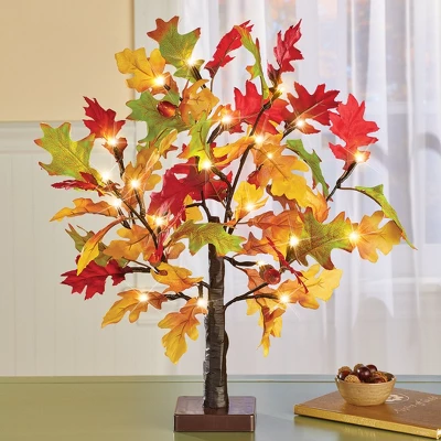 Collections Etc LED Lighted Artificial Tabletop Autumn Maple Tree 4 X 4 X 22 3 Collections Etc LED Lighted Artificial Tabletop Autumn Maple Tree 4 X 4 X 22