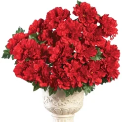 Collections Etc Artificial Multicolor Zinnia Bushes Stakes - Set Of 3 16 Collections Etc Artificial Multicolor Zinnia Bushes Stakes - Set Of 3 -Home Decoration Onsale GUEST 9e25fa94 6ca9 4821 ac4e 0850b38b5581