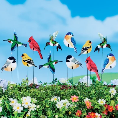 Collections Etc Colorful Bird Decorative Garden Stakes - Set Of 24 3 Collections Etc Colorful Bird Decorative Garden Stakes - Set Of 24