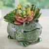 Collections Etc Charming Frog Planter With Artificial Succulents 6 X 5 X 4.5 -Home Decoration Onsale GUEST a2796d20 c75f 411d bbb4 1486d1fd10f9