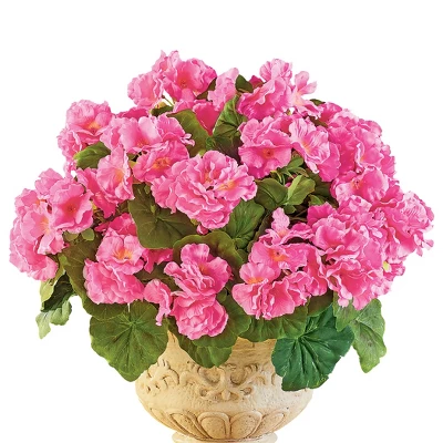 Collections Etc Set Of 3 Begonia Bushes 7 Collections Etc Set Of 3 Begonia Bushes - Image 5