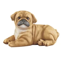Collections Etc Hand-Painted Realistic Pug Puppy Outdoor Statue 15 Collections Etc Hand-Painted Realistic Pug Puppy Outdoor Statue -Home Decoration Onsale GUEST bab4da1e d668 40f7 8254 79526d97504a