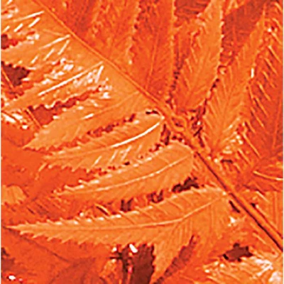 Collections Etc Realistic Looking Artificial Japonica Bushes - Set Of 3 4 Collections Etc Realistic Looking Artificial Japonica Bushes - Set Of 3 - Image 2