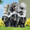 Collections Etc Realistic Skunk Trio Outdoor Garden Stake -Home Decoration Onsale GUEST eb7eb4c4 5dcd 4b23 a3b2 fd31a27e6812