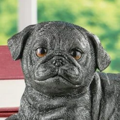 Collections Etc Hand-Painted Realistic Pug Puppy Outdoor Statue 13 Collections Etc Hand-Painted Realistic Pug Puppy Outdoor Statue -Home Decoration Onsale GUEST efc4280d f410 4771 97de 6fae68c3aa46