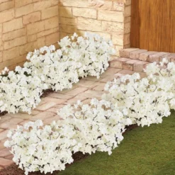 Home Decoration Onsale -Home Decoration Onsale GUEST fd002690 ea9a 4461 bd45 47fd90633137