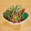 Collections Etc Faux Potted Artificial Succulent Arrangement 8 X 5 X 5 1 Collections Etc Faux Potted Artificial Succulent Arrangement 8 X 5 X 5 -Home Decoration Onsale GUEST fe871eab 8a79 4fdb ab2b ce6dd45c04c0